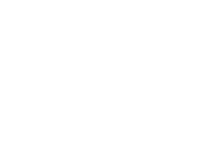 white left arrow