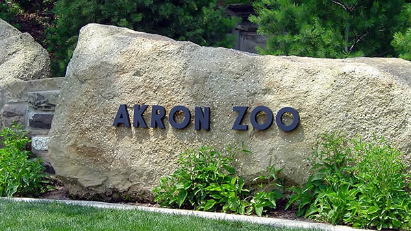 charter bus akron ohio attractions akron zoo