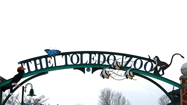 charter bus toledo ohio attractions toledo zoo and aquarium