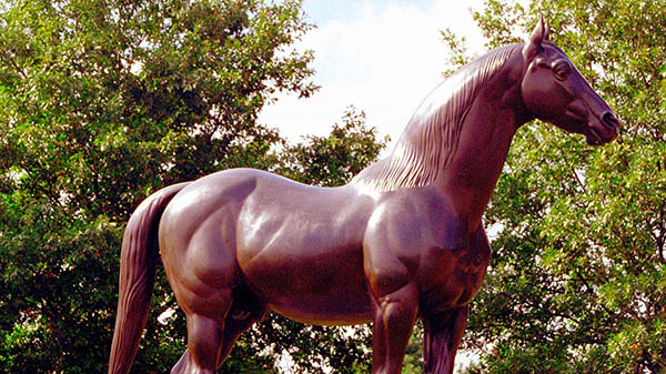 charter bus lexington kentucky attractions kentucky horse park