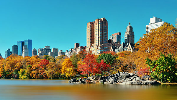 charter bus new york city new york attractions central park