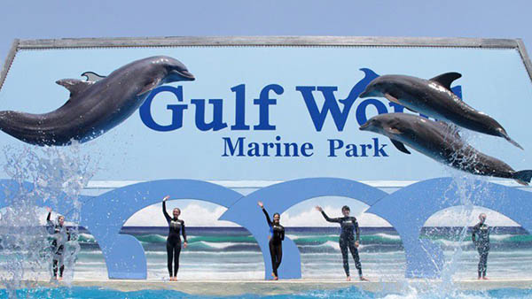 charter bus panama city beach florida attractions gulf world marine park