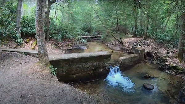 barons bus tickets city attraction west virginia botanic garden morgantown wv