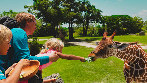 barons bus tickets fort wayne in attraction childrens zoo